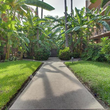 Beachview Condominiums: Palm Tree Pathway South Padre Island Exterior photo