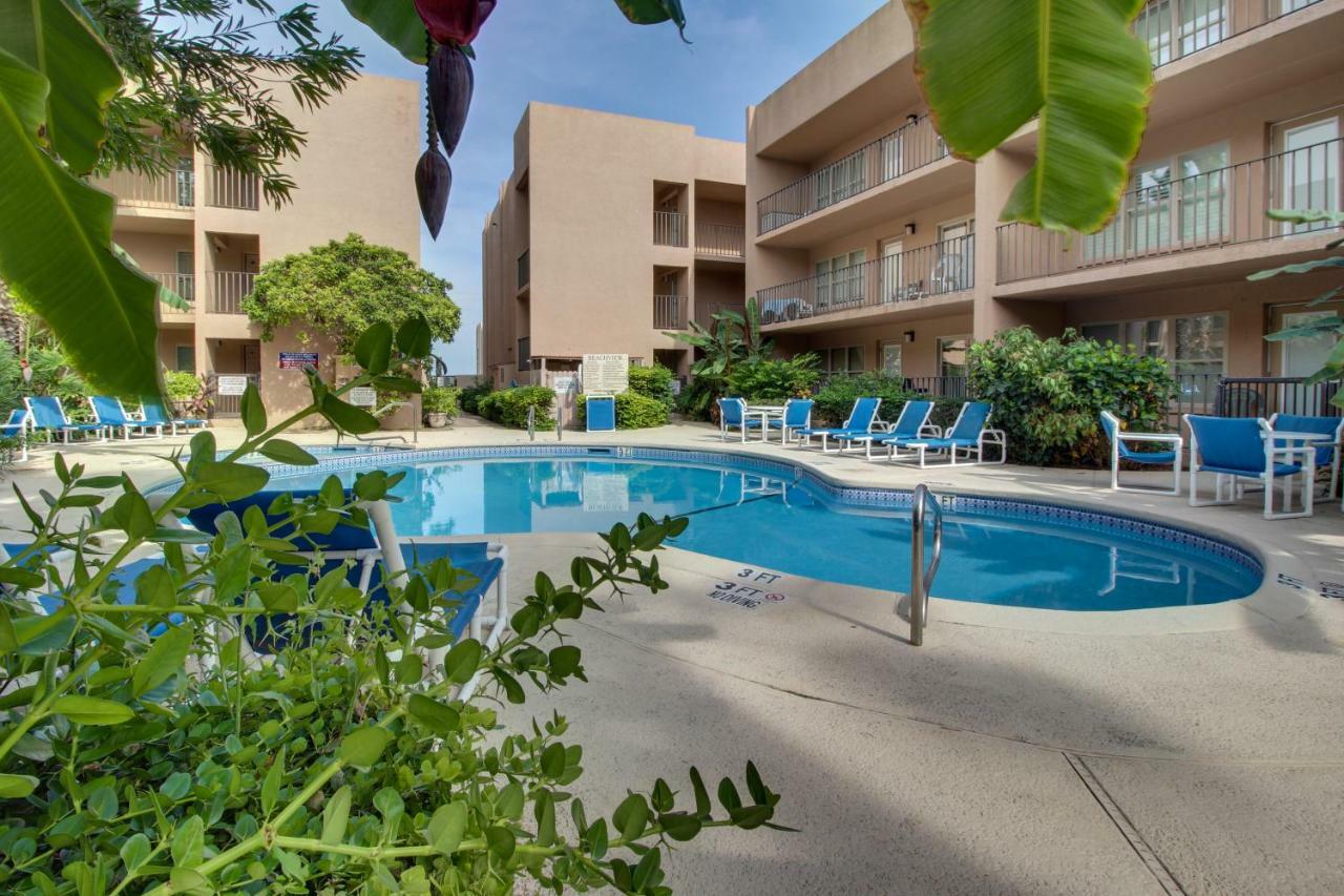 Beachview Condominiums: Palm Tree Pathway South Padre Island Exterior photo