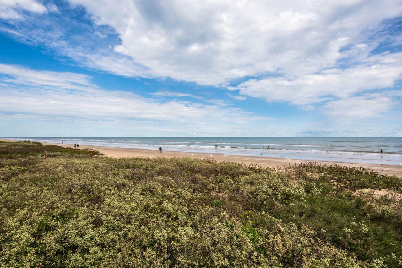 Beachview Condominiums: Palm Tree Pathway South Padre Island Exterior photo