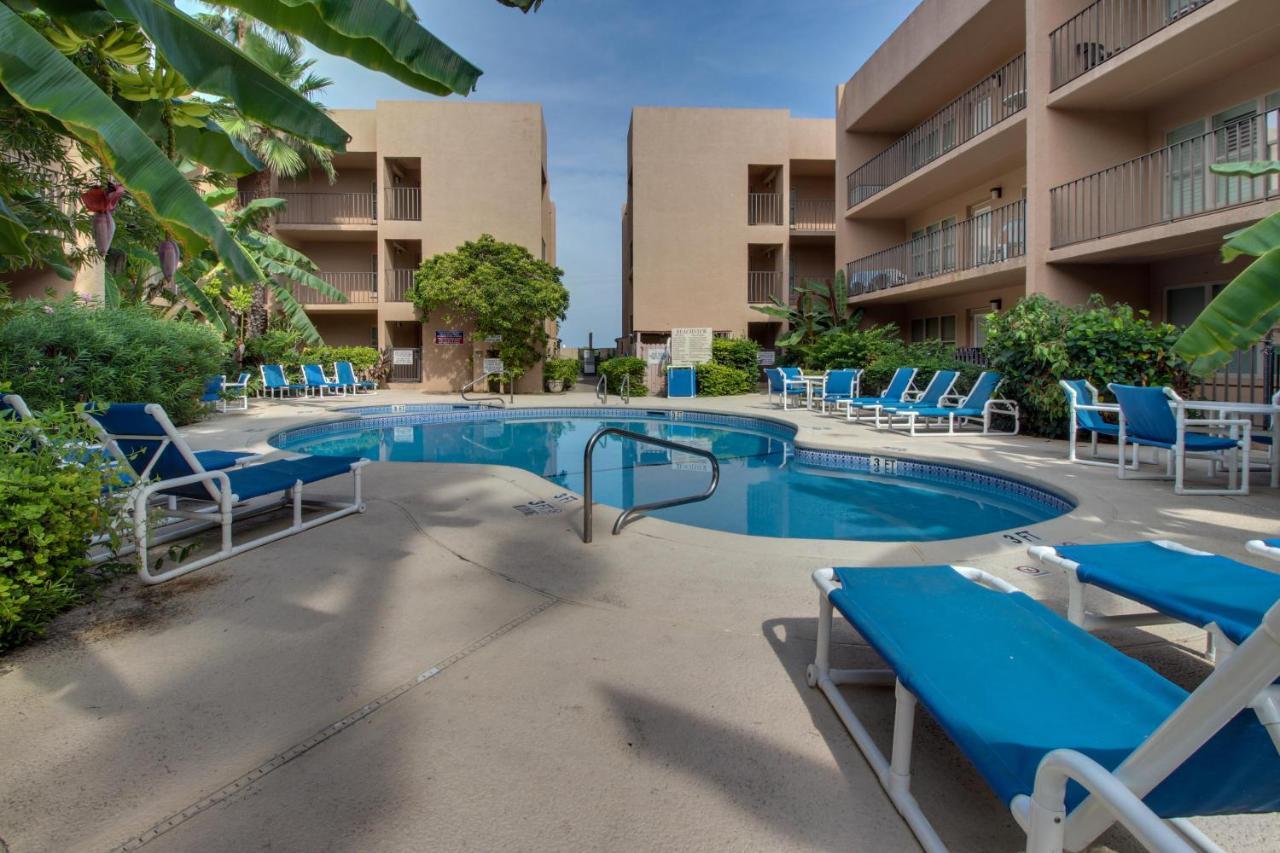 Beachview Condominiums: Palm Tree Pathway South Padre Island Exterior photo